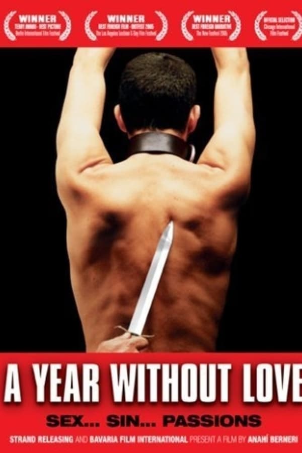 Cover of the movie A Year Without Love