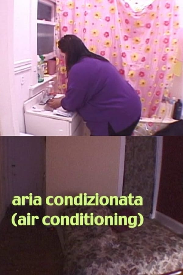 Cover of the movie Air Conditioning
