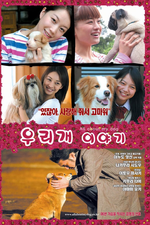 Cover of the movie All About My Dog