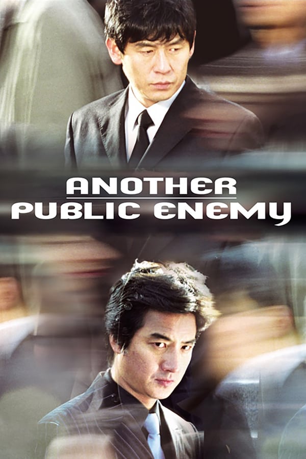 Cover of the movie Another Public Enemy