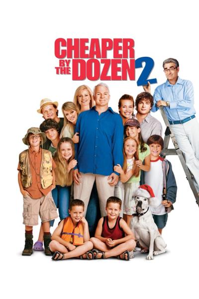 Cover of the movie Cheaper by the Dozen 2