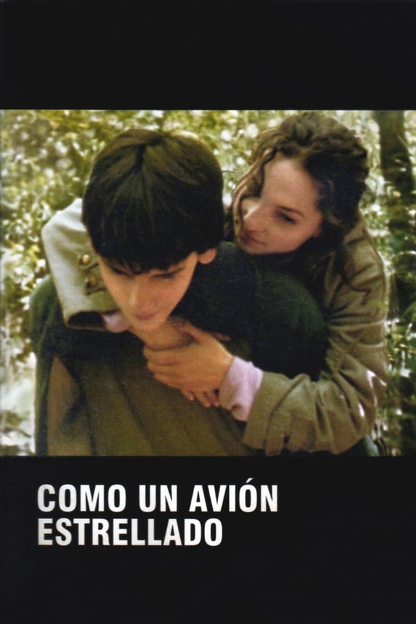 Cover of the movie Como un avión estrellado