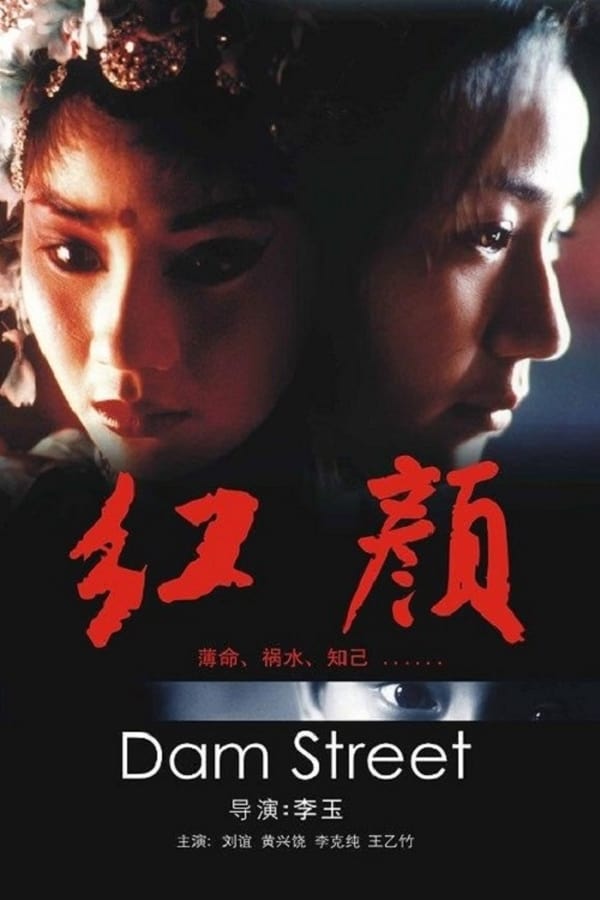 Cover of the movie Dam Street