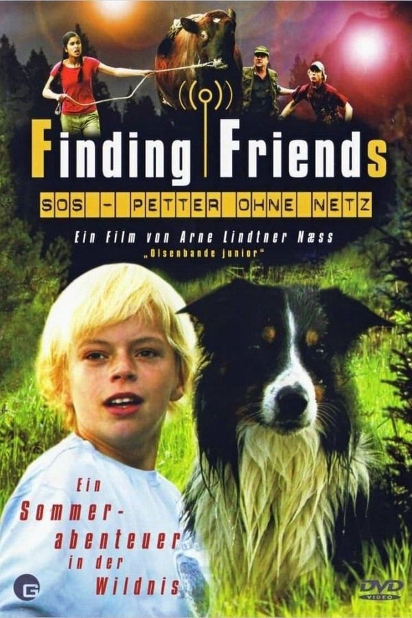 Cover of the movie Finding Friends