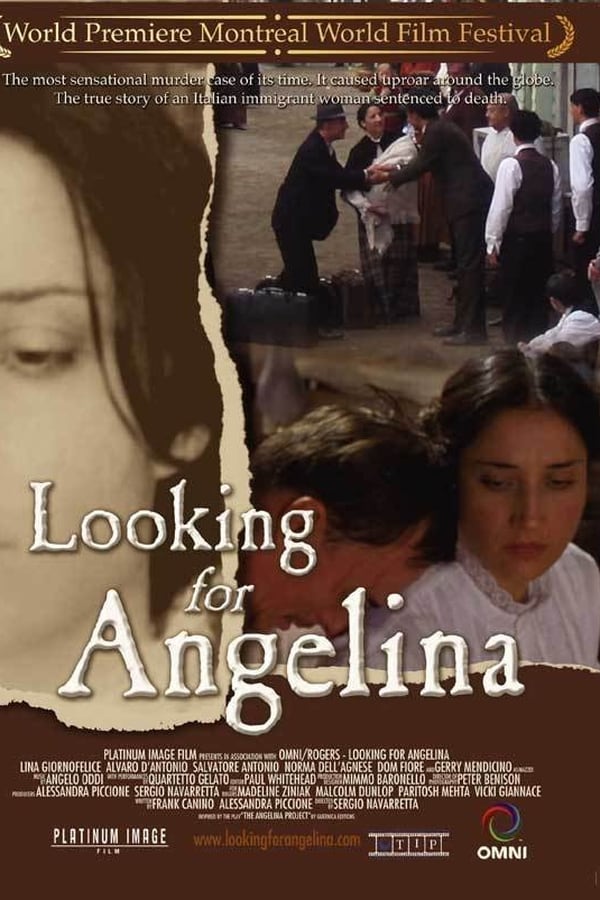 Cover of the movie Looking for Angelina