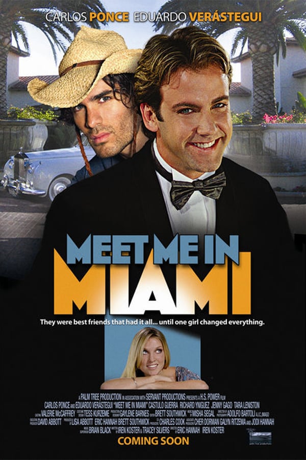Cover of the movie Meet Me in Miami