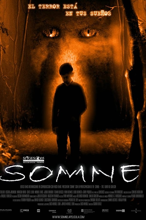 Cover of the movie Somne