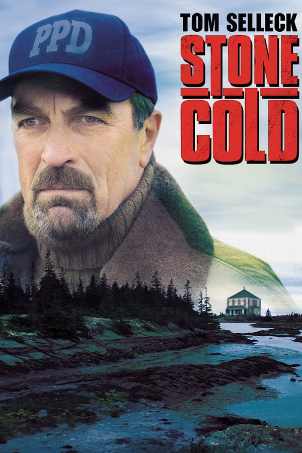 Cover of the movie Stone Cold