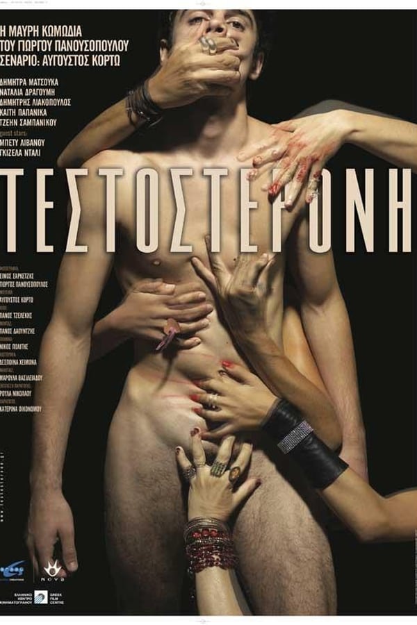 Cover of the movie Testosterone