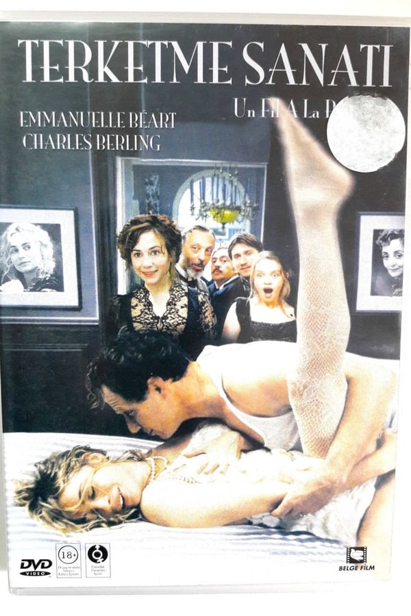 Cover of the movie The Art of Breaking Up