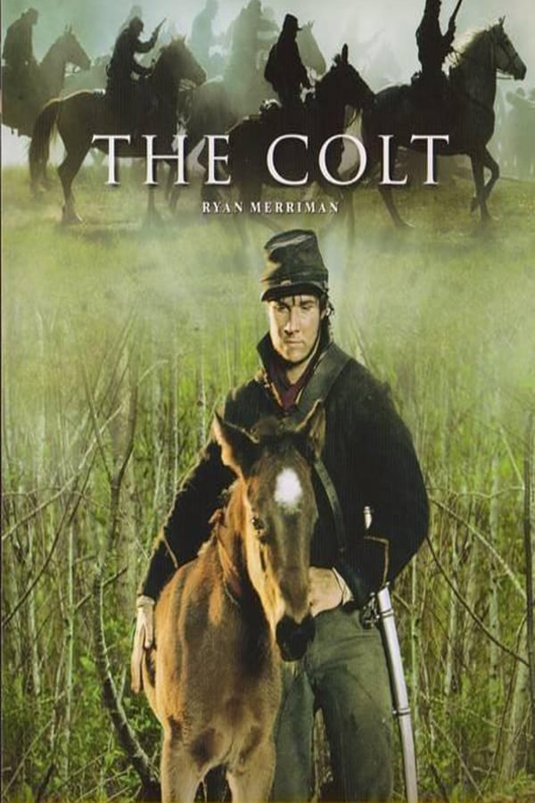 Cover of the movie The Colt