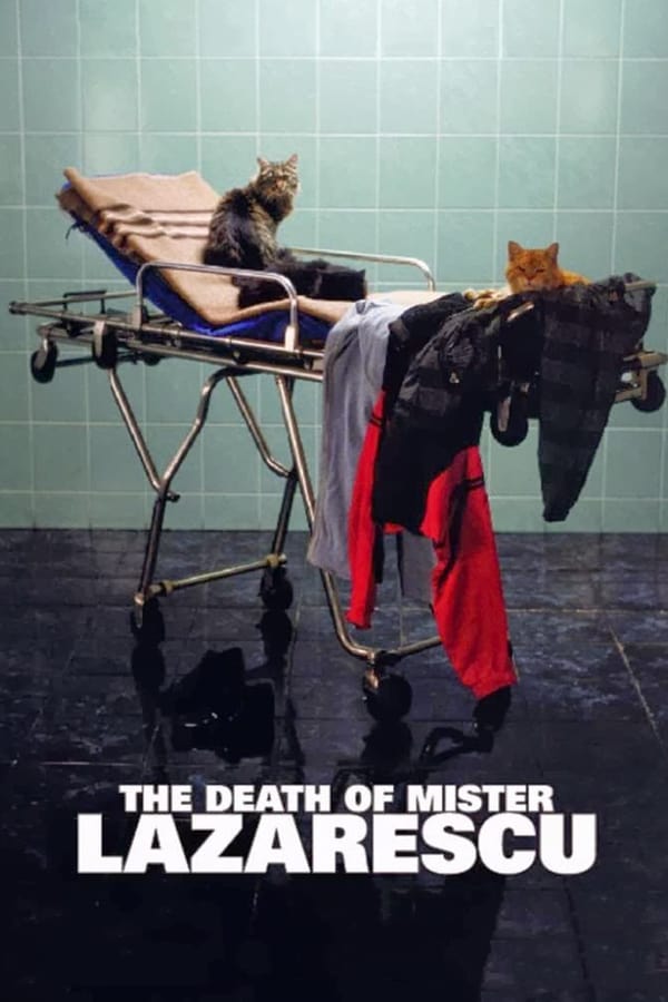 Cover of the movie The Death of Mr. Lazarescu