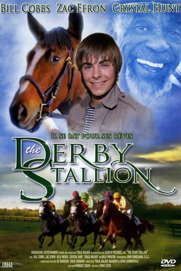 Cover of the movie The Derby Stallion
