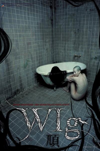 Cover of the movie The Wig