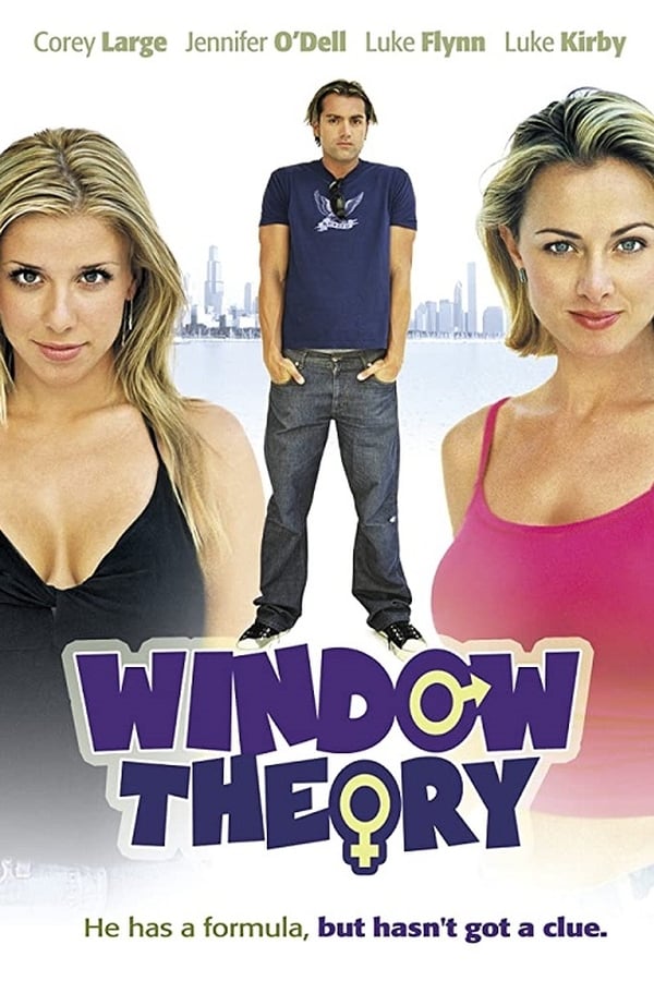 Cover of the movie Window Theory
