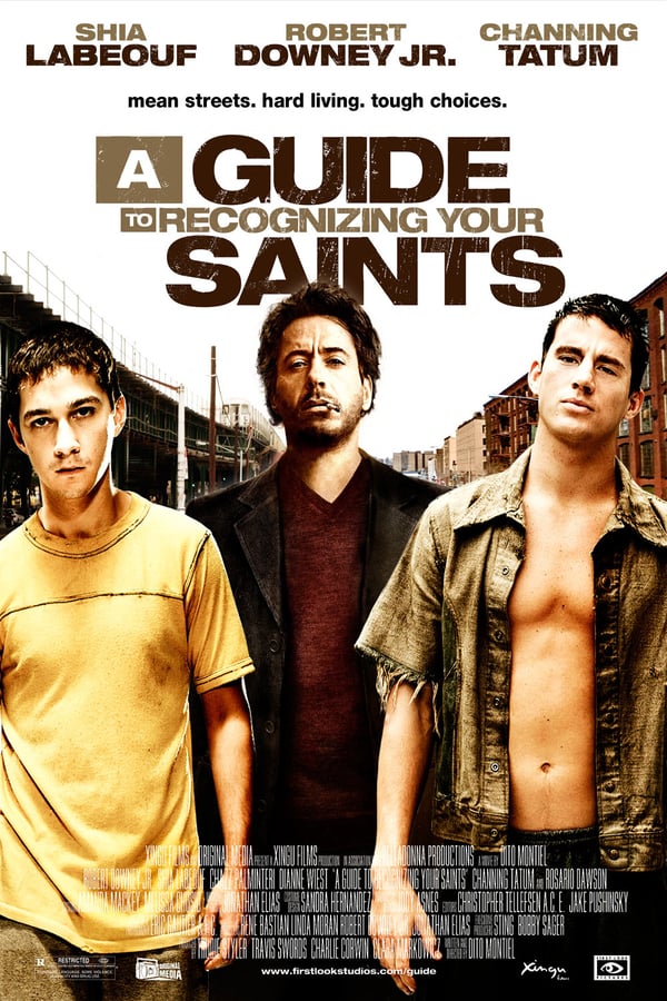 Cover of the movie A Guide to Recognizing Your Saints