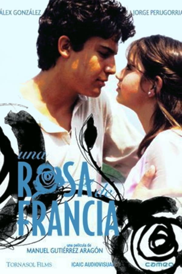 Cover of the movie A Rose from France