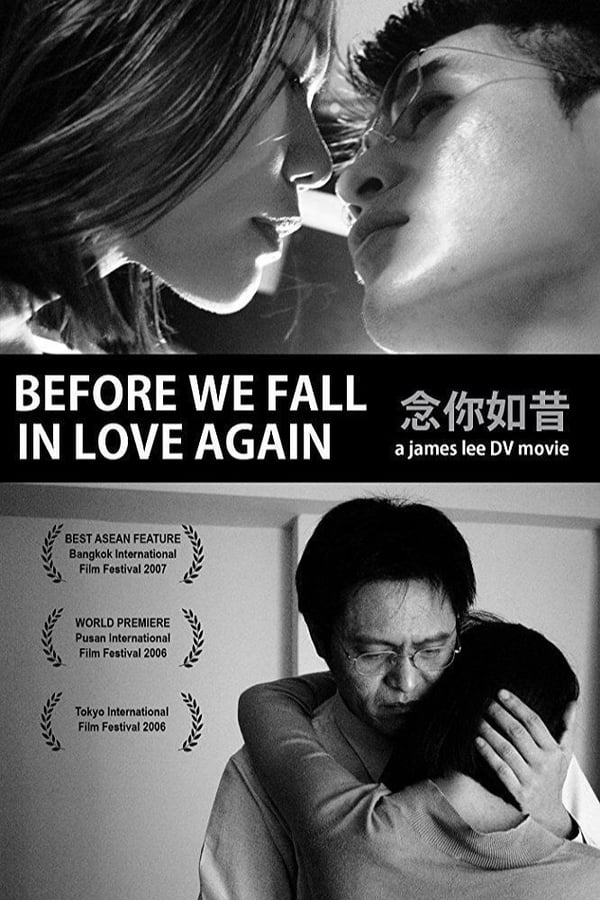 Cover of the movie Before We Fall in Love Again