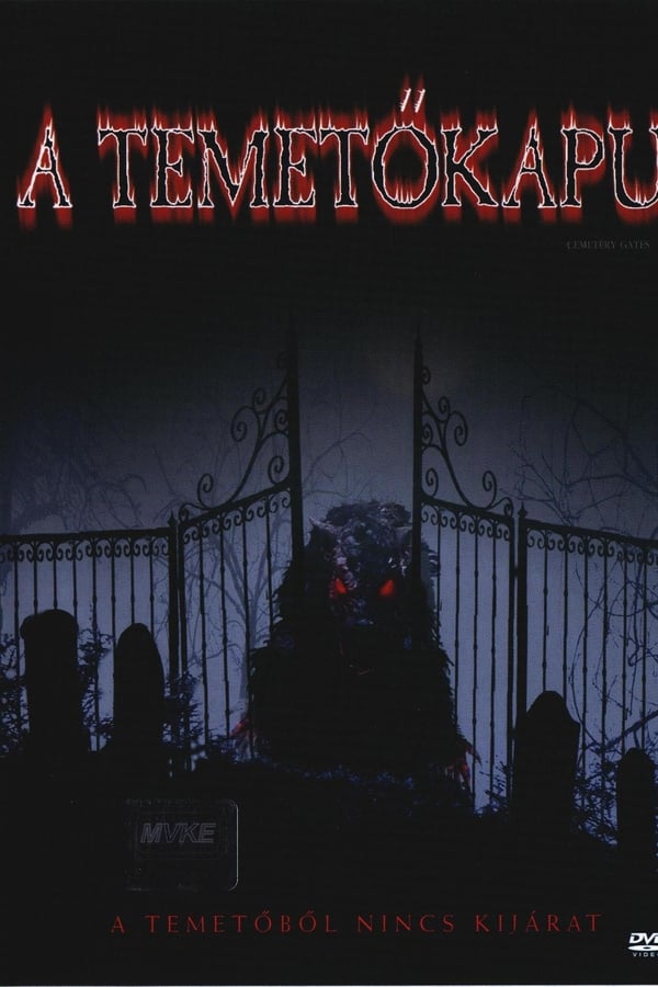 Cover of the movie Cemetery Gates