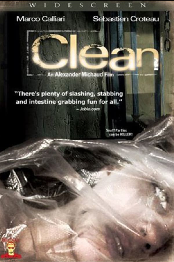 Cover of the movie Clean