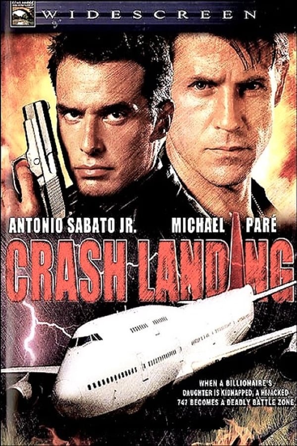 Cover of the movie Crash Landing