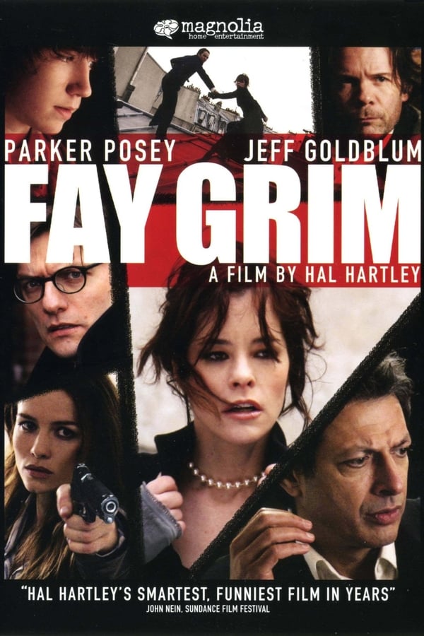 Cover of the movie Fay Grim