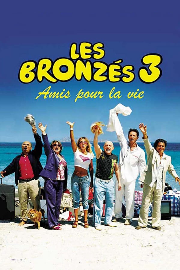 Cover of the movie French Fried Vacation 3