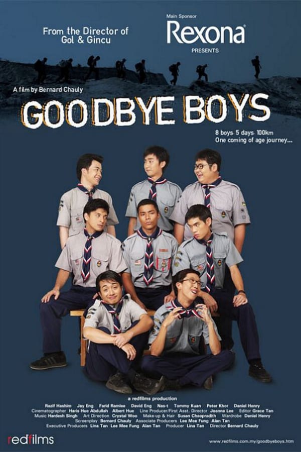 Cover of the movie Goodbye Boys