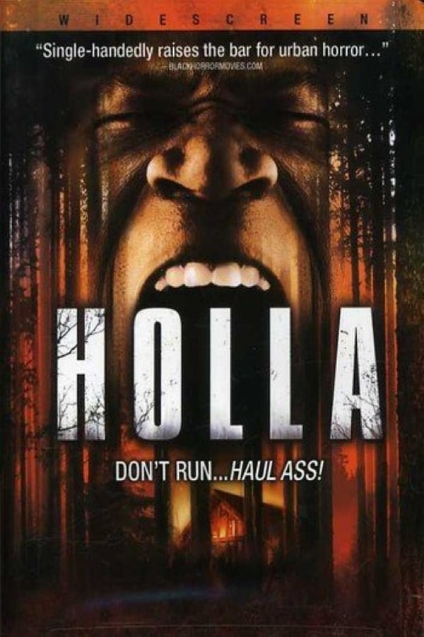 Cover of the movie Holla