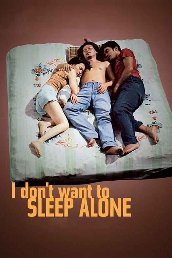 Cover of the movie I Don't Want to Sleep Alone