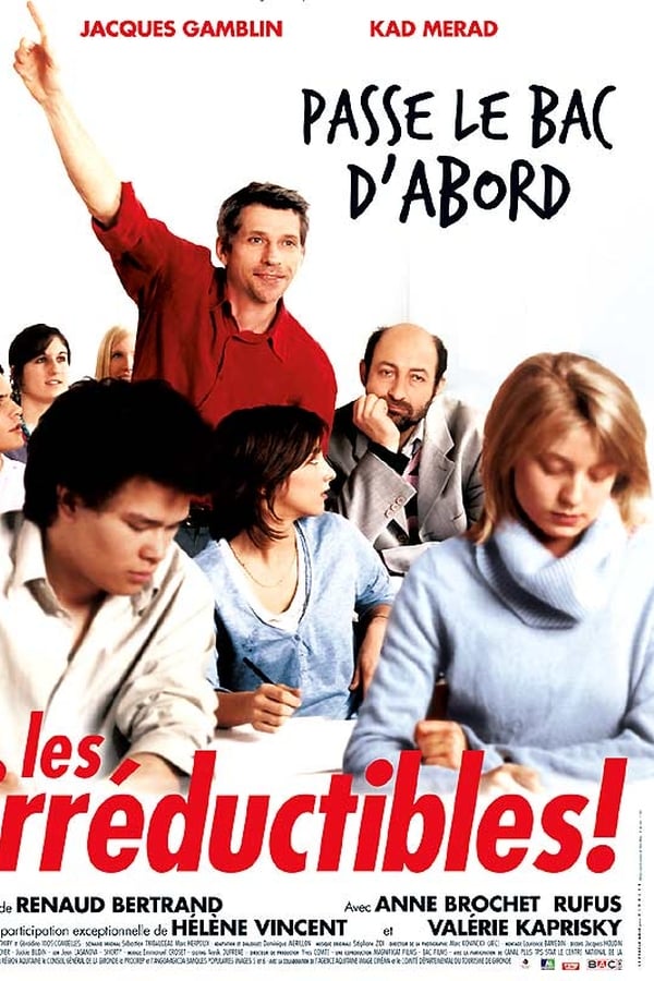 Cover of the movie Les Irréductibles