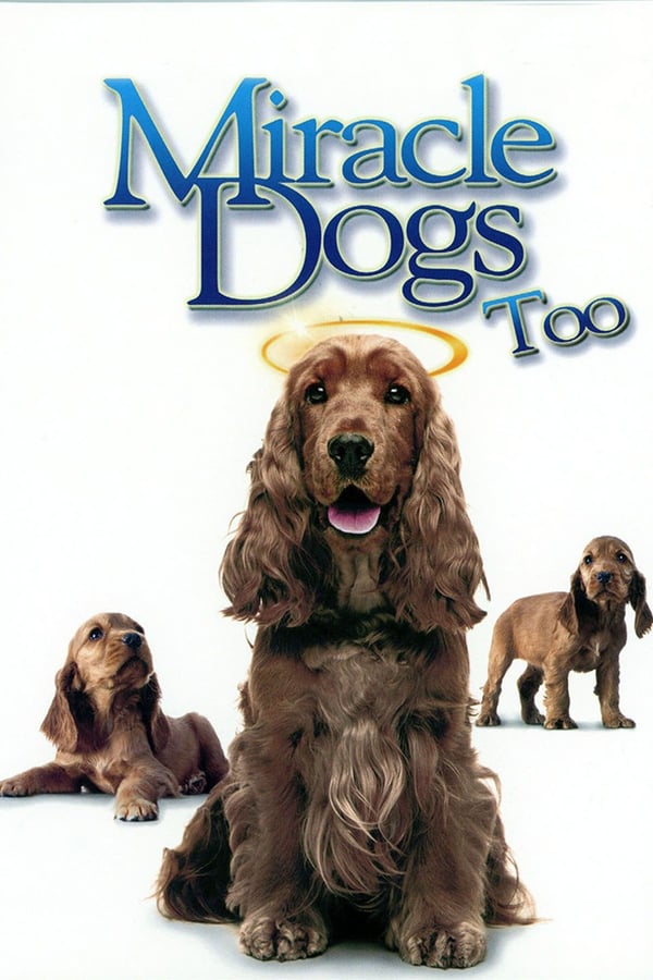 Cover of the movie Miracle Dogs Too