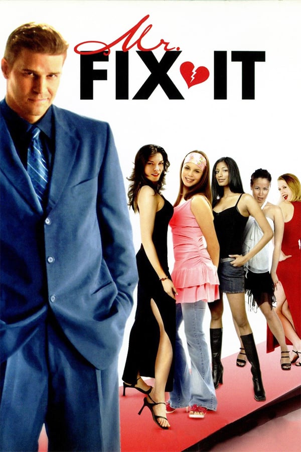 Cover of the movie Mr. Fix It