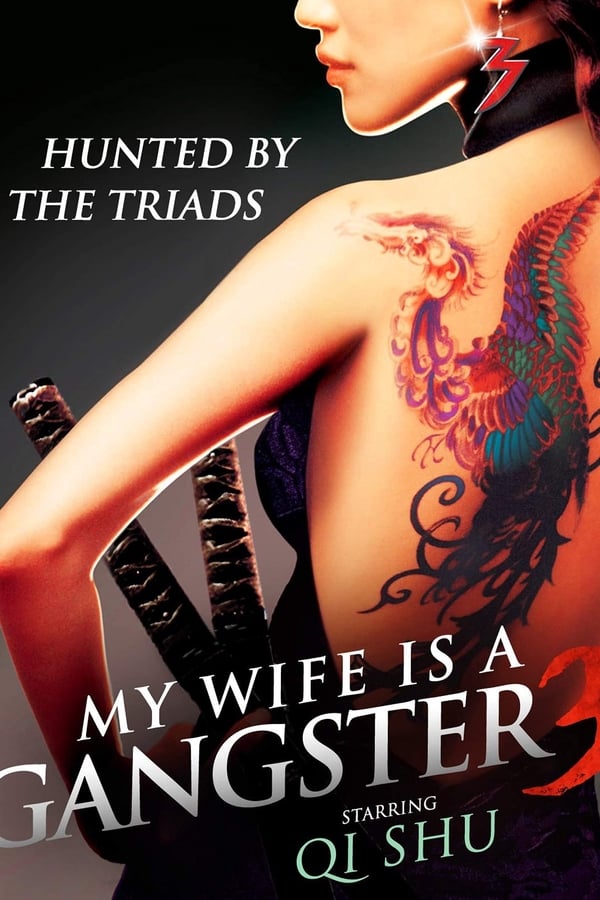 Cover of the movie My Wife Is a Gangster 3