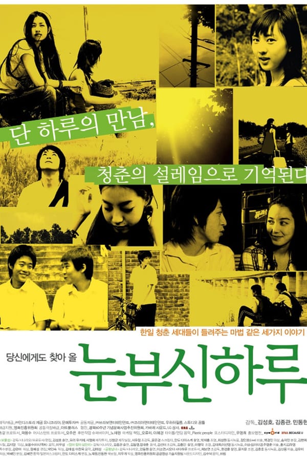 Cover of the movie One Shining Day