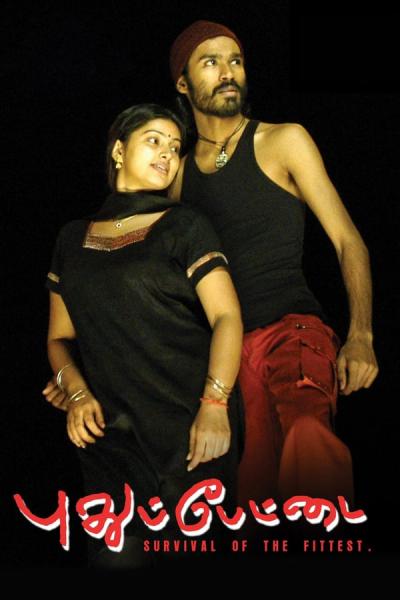 Cover of the movie Pudhupettai