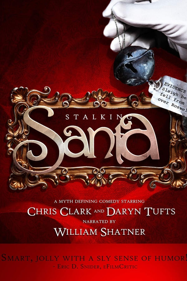 Cover of the movie Stalking Santa