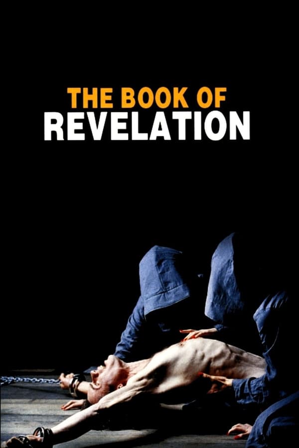 Cover of the movie The Book of Revelation