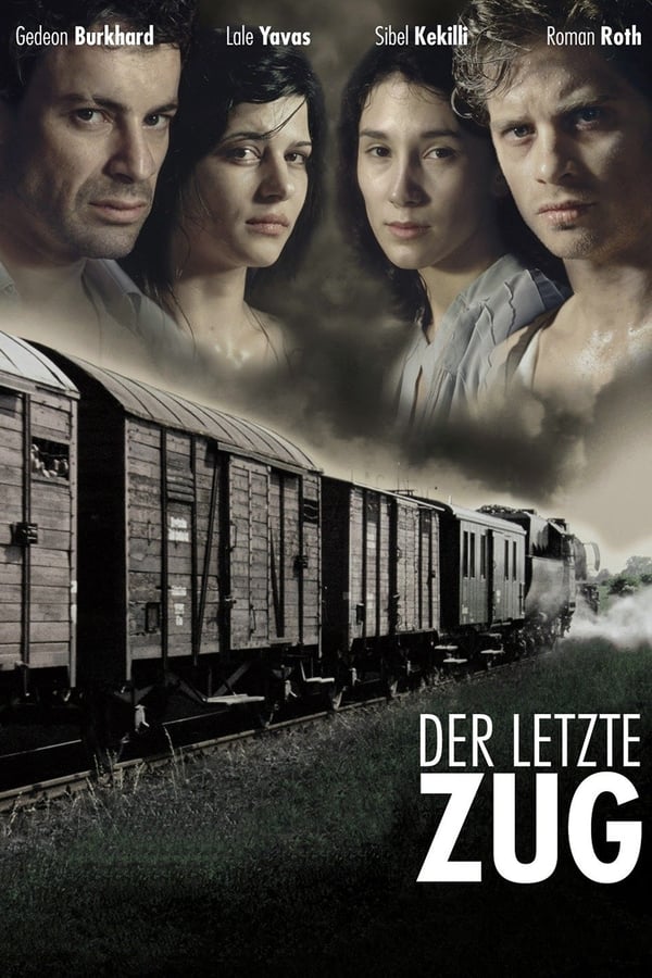 Cover of the movie The Last Train