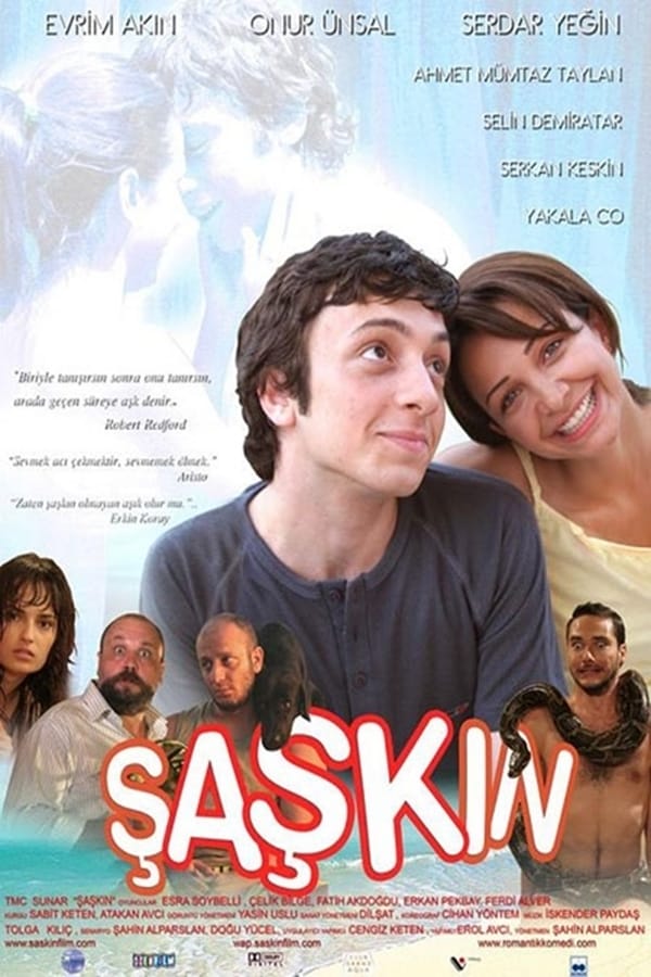 Cover of the movie The Silly