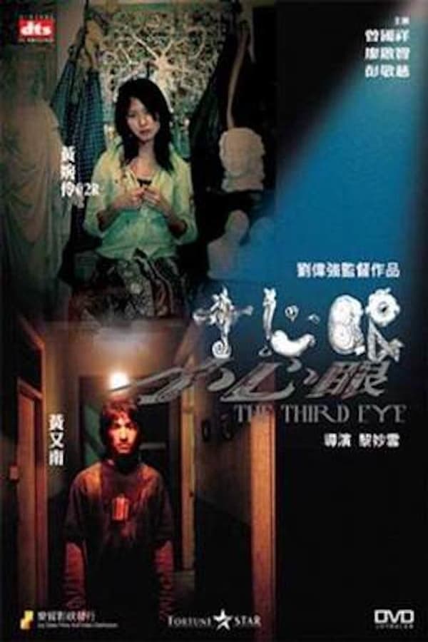 Cover of the movie The Third Eye