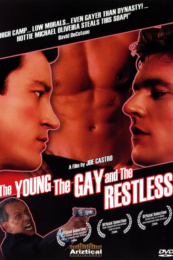 Cover of the movie The Young, the Gay and the Restless