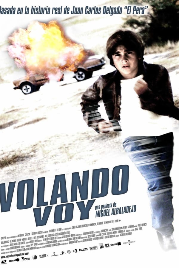 Cover of the movie Volando voy