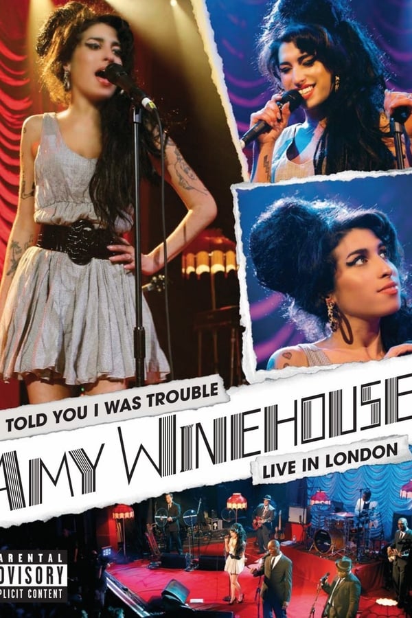 Cover of the movie Amy Winehouse - I Told You I Was Trouble (Live in London)