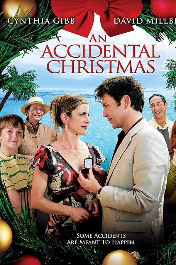 Cover of the movie An Accidental Christmas