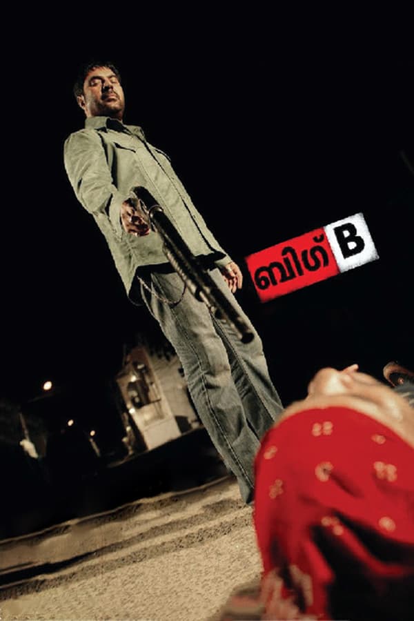Cover of the movie Big B