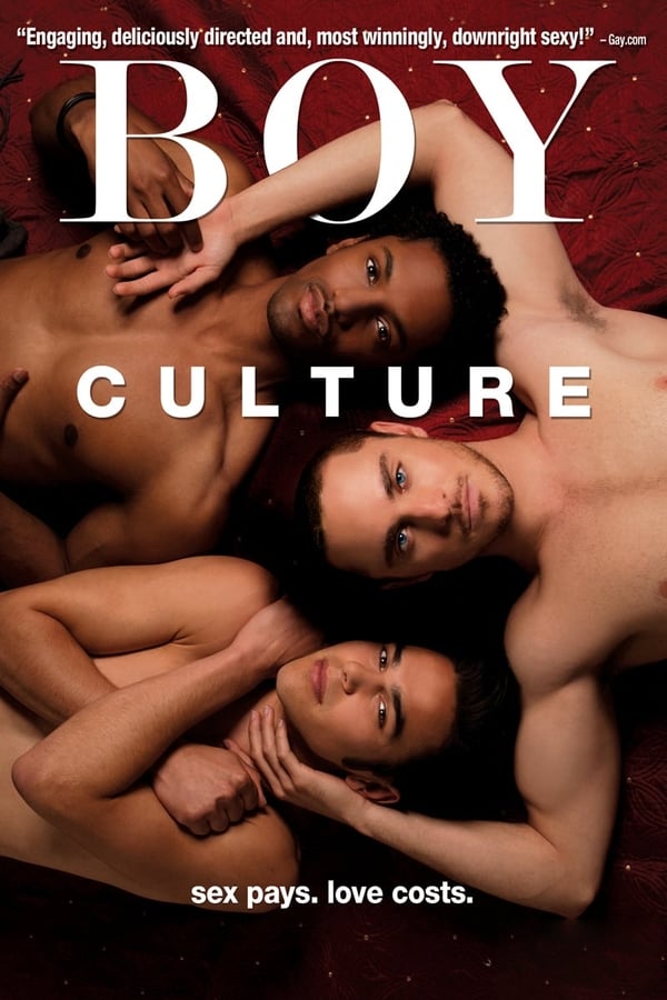 Cover of the movie Boy Culture