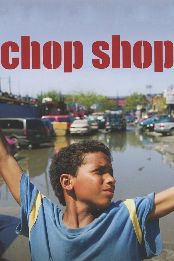 Cover of the movie Chop Shop
