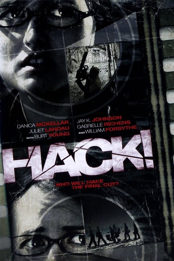 Cover of the movie Hack!