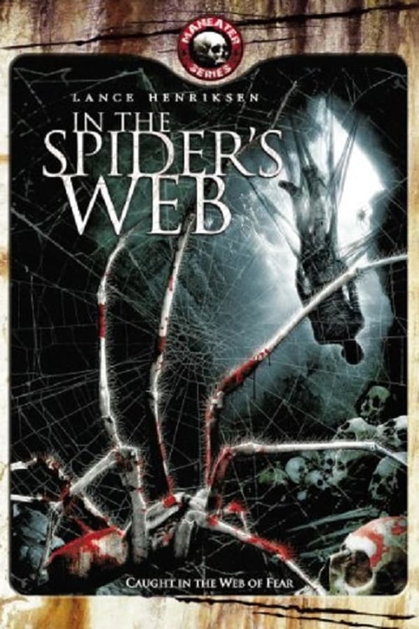 Cover of the movie In The Spider's Web